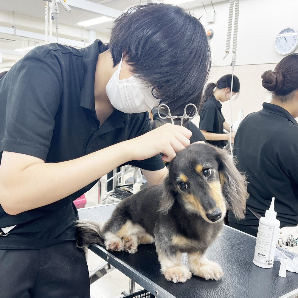 今日もたくさんのお客様！